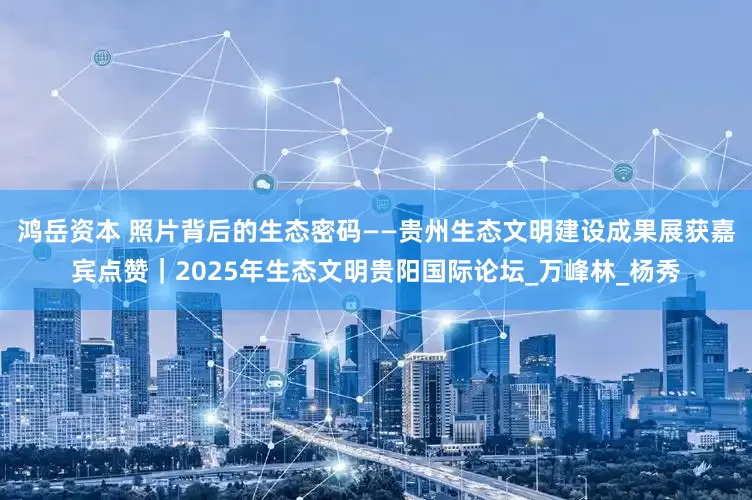 鸿岳资本 照片背后的生态密码——贵州生态文明建设成果展获嘉宾点赞｜2025年生态文明贵阳国际论坛_万峰林_杨秀